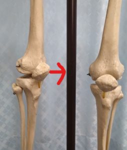 膝関節の内旋